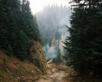Image Post