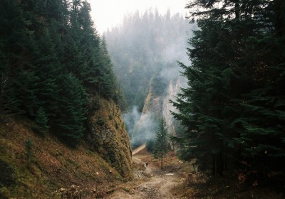 Image Post