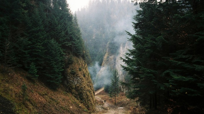 Image Post