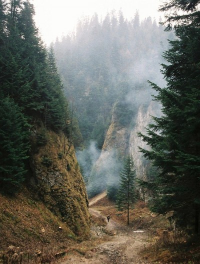 New Post With Image